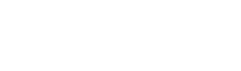 Link11