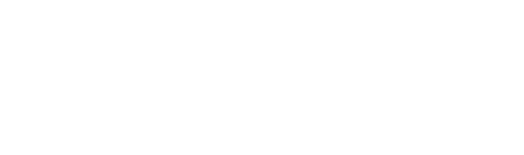 Link11