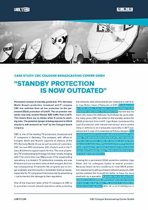 Case Study: Permanent Instead of Standby DDoS Protection