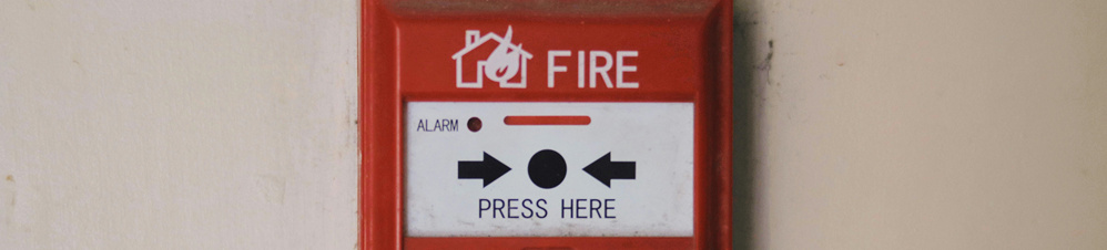 Intrusion Detection System (IDS)