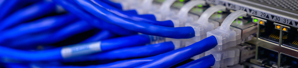 Network Port