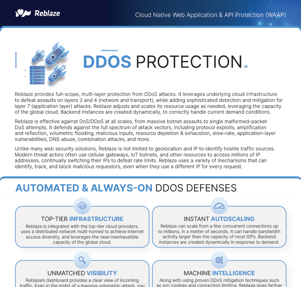 DDoS Datasheet